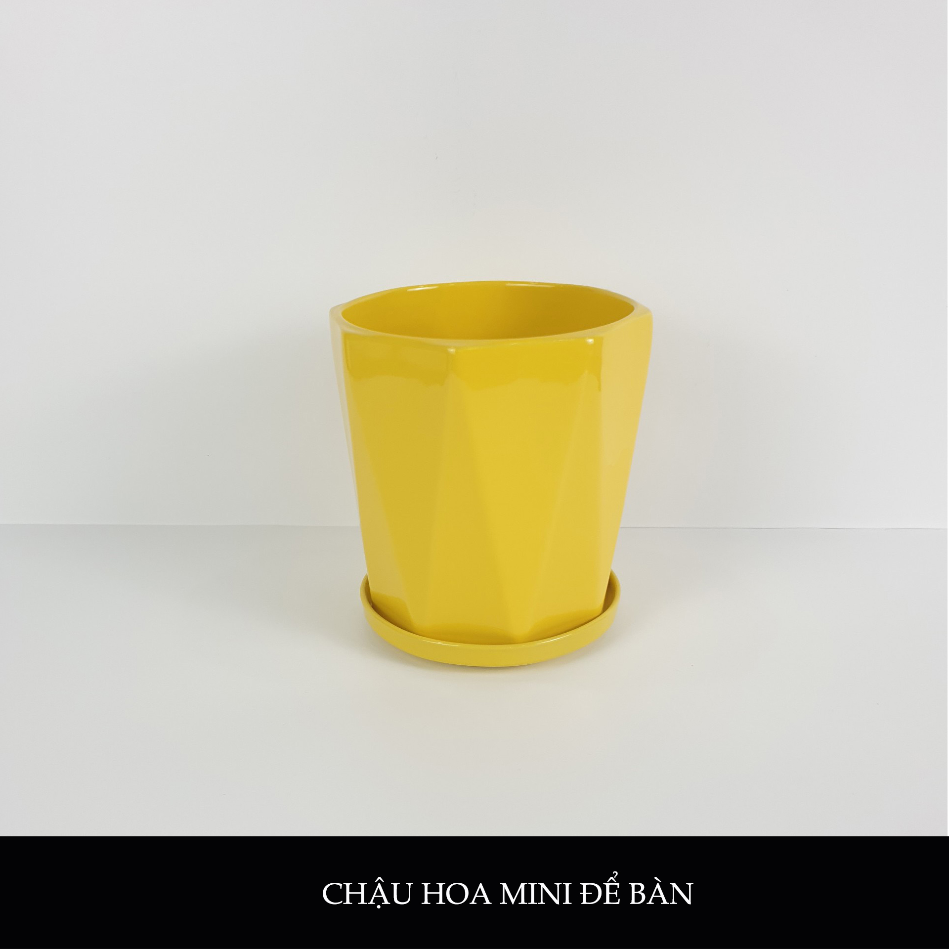 chậu hoa mini để bàn sứ Minh Châu 01