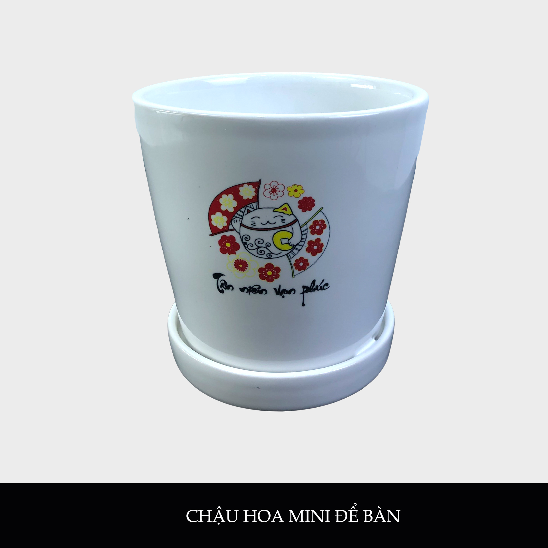 Chậu hoa văn phòng sứ Minh Châu
